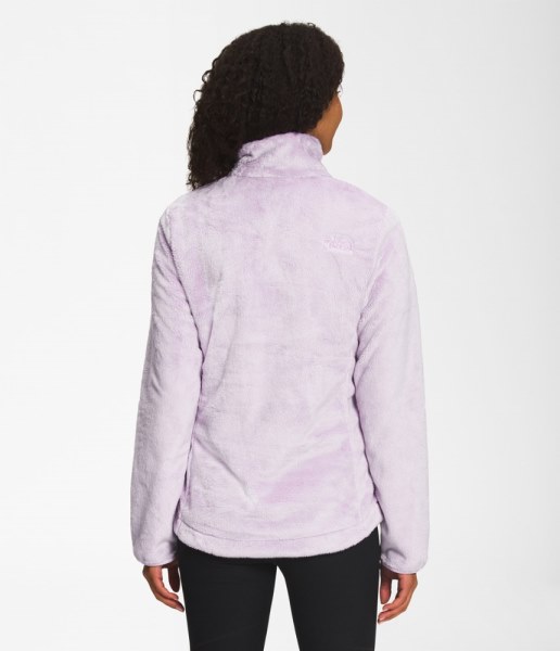Rei Co-op Jersey De Polar Con Cremallera De Un Cuarto Osito The North Face Mujer Lavanda Niebla